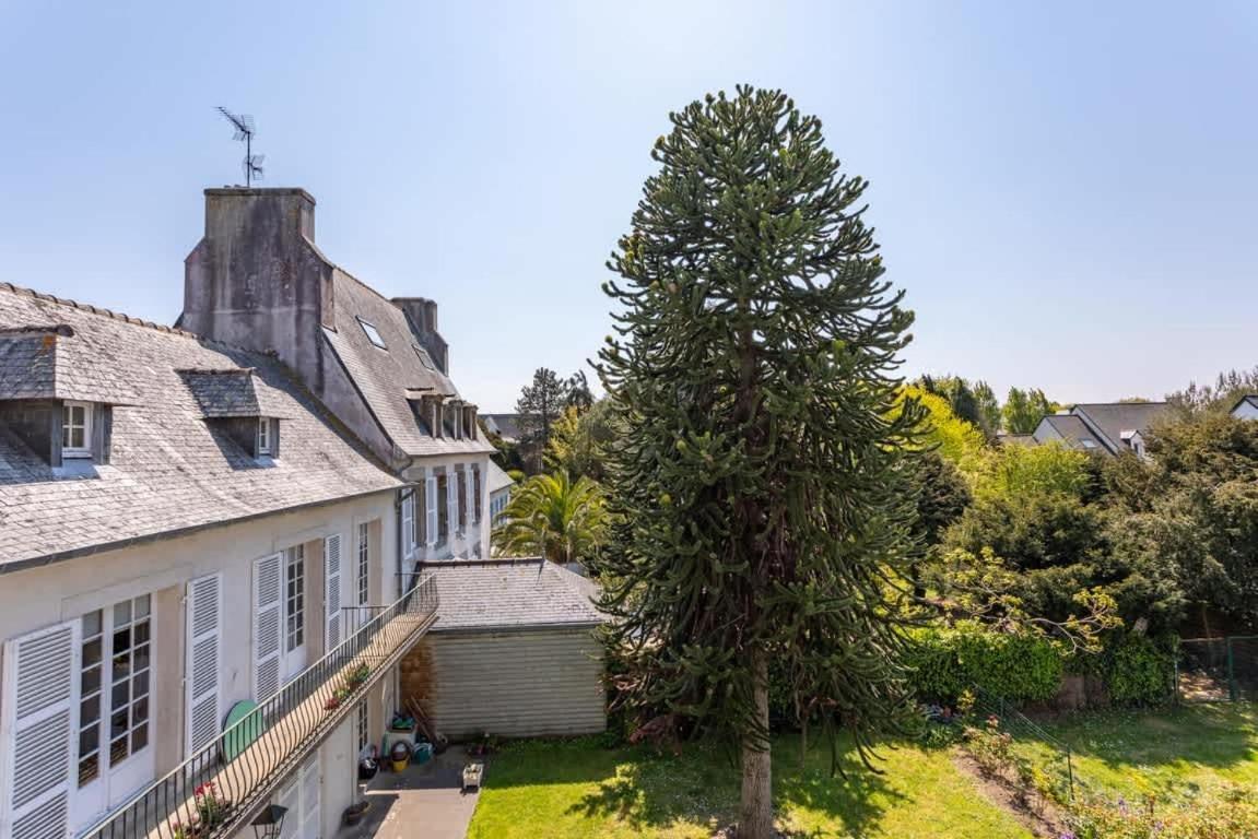 Le Capucin - Petit Duplex Avec Place De Parking 迪纳尔 外观 照片